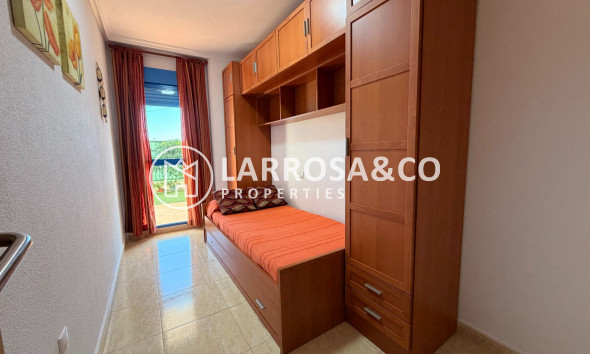 Resale - Apartment - Guardamar del Segura - SUP 7