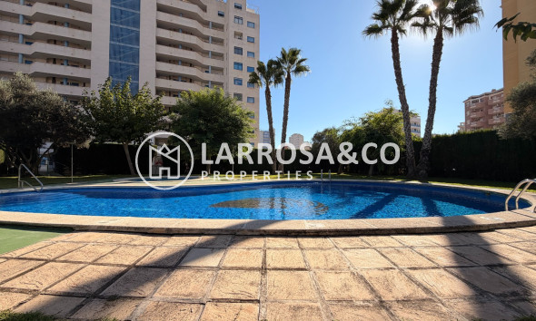 Resale - Apartment - Guardamar del Segura - SUP 7