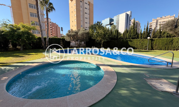 Resale - Apartment - Guardamar del Segura - SUP 7