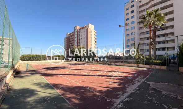 Resale - Apartment - Guardamar del Segura - SUP 7