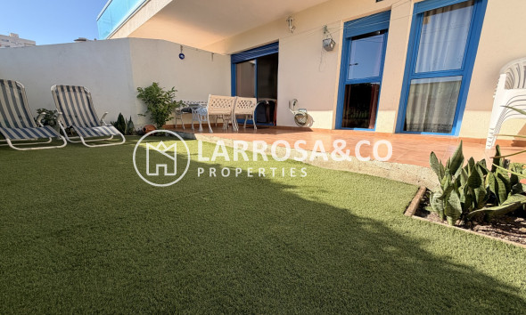 Resale - Apartment - Guardamar del Segura - SUP 7