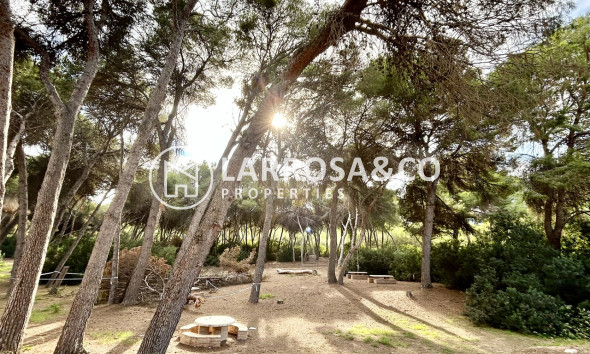 Вторичный рынок - Таунхаус - Dehesa de Campoamor - Costa Blanca