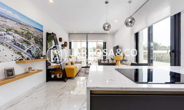 New build - Detached House/Villa - Ciudad Quesada - Lo marabú