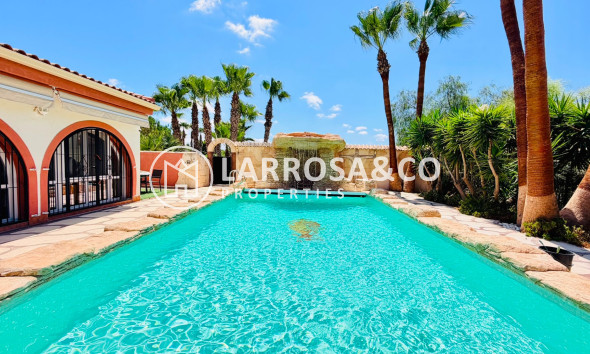 Resale - Detached House/Villa - Daya Vieja - Costa Blanca