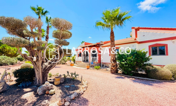 Resale - Detached House/Villa - Daya Vieja - Costa Blanca