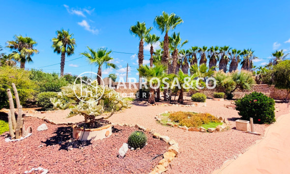 Resale - Detached House/Villa - Daya Vieja - Costa Blanca