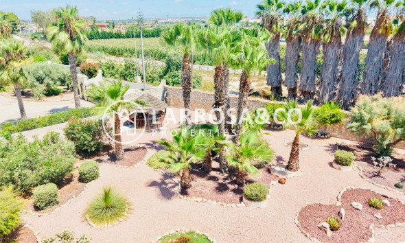 Resale - Detached House/Villa - Daya Vieja - Costa Blanca