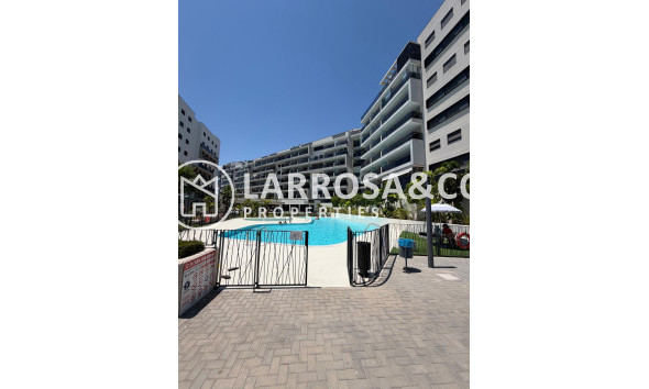 Вторичный рынок - Квартира - Dehesa de Campoamor - Costa Blanca