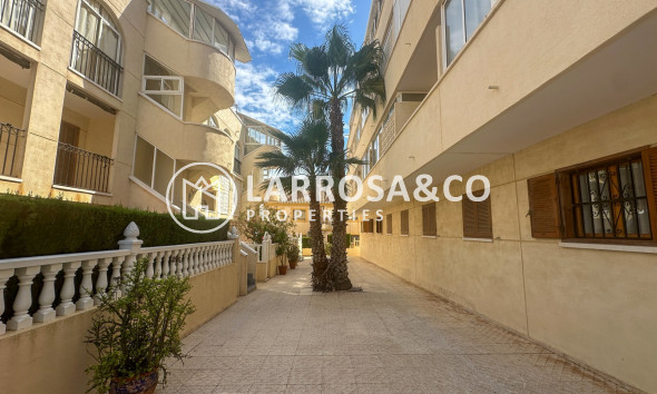 Вторичный рынок - Квартира - La Zenia - Costa Blanca