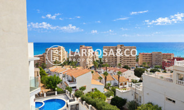 Вторичный рынок - Квартира - La Mata - Costa Blanca