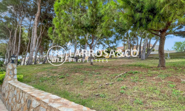 Вторичный рынок - Квартира - Mil Palmeras - Costa Blanca