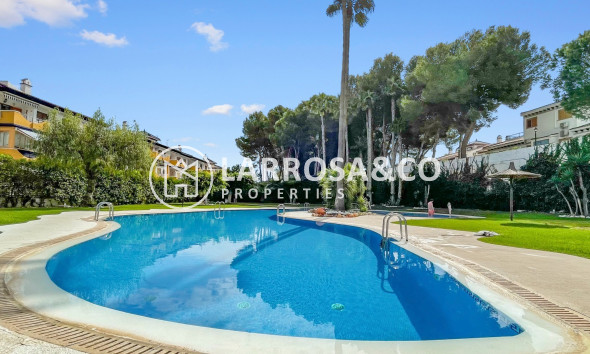 Вторичный рынок - Квартира - Mil Palmeras - Costa Blanca