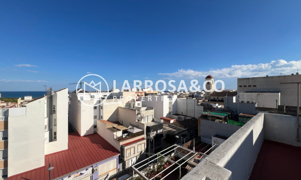 Reventa - Apartamento - Guardamar del Segura