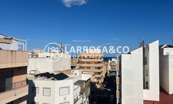 Reventa - Apartamento - Guardamar del Segura