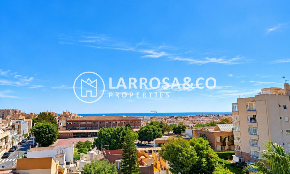 New build - Apartment - Torrevieja - Nueva Torrevieja