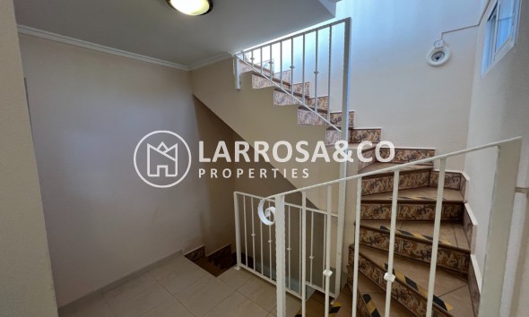 Resale - Adosado - Torrevieja - La Siesta - El Salado - Torreta