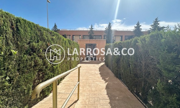 Resale - Apartment / Duplex - Torrevieja - Cala del palangre