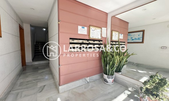 Resale - Apartment / Duplex - Torrevieja - Cala del palangre