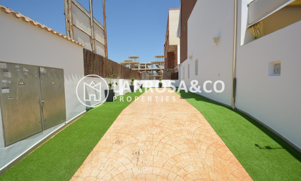New build - Duplex - Guardamar del Segura - Los Secanos